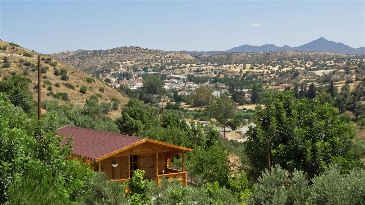 Agios Theodoros Happy Glamping Cy 빌라 외부 사진
