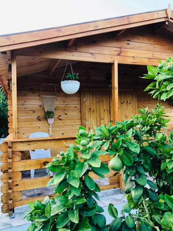 Agios Theodoros Happy Glamping Cy 빌라 외부 사진