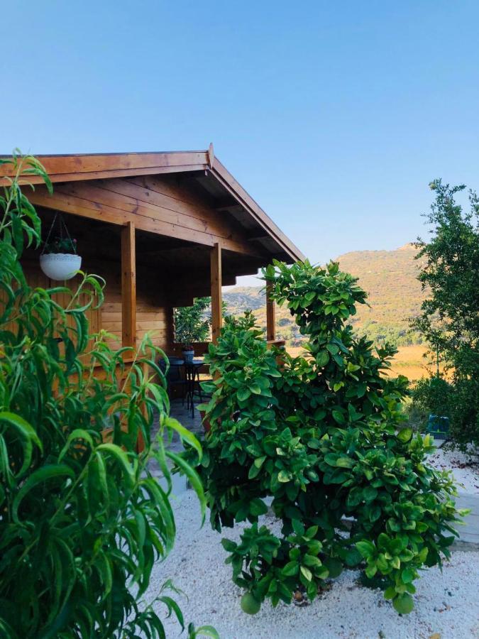 Agios Theodoros Happy Glamping Cy 빌라 외부 사진