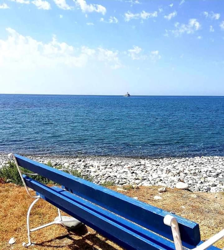Agios Theodoros Happy Glamping Cy 빌라 외부 사진