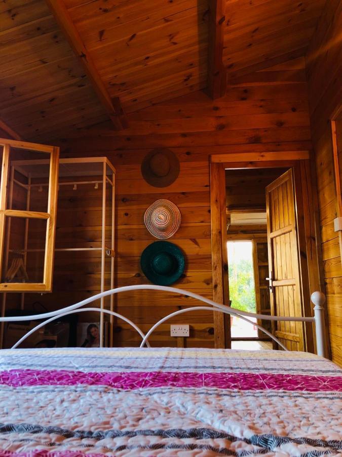 Agios Theodoros Happy Glamping Cy 빌라 외부 사진