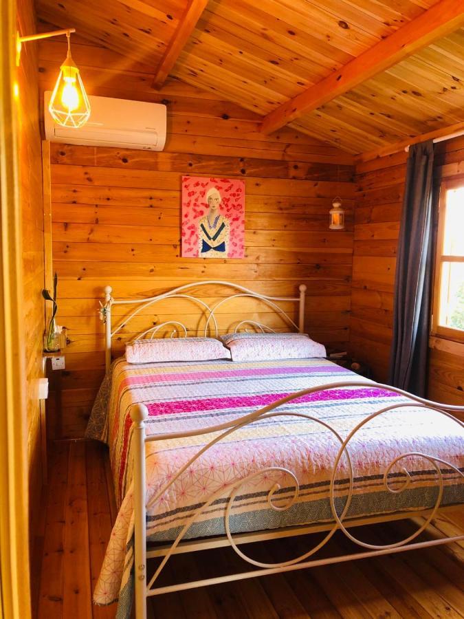 Agios Theodoros Happy Glamping Cy 빌라 외부 사진