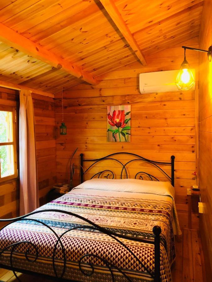 Agios Theodoros Happy Glamping Cy 빌라 외부 사진