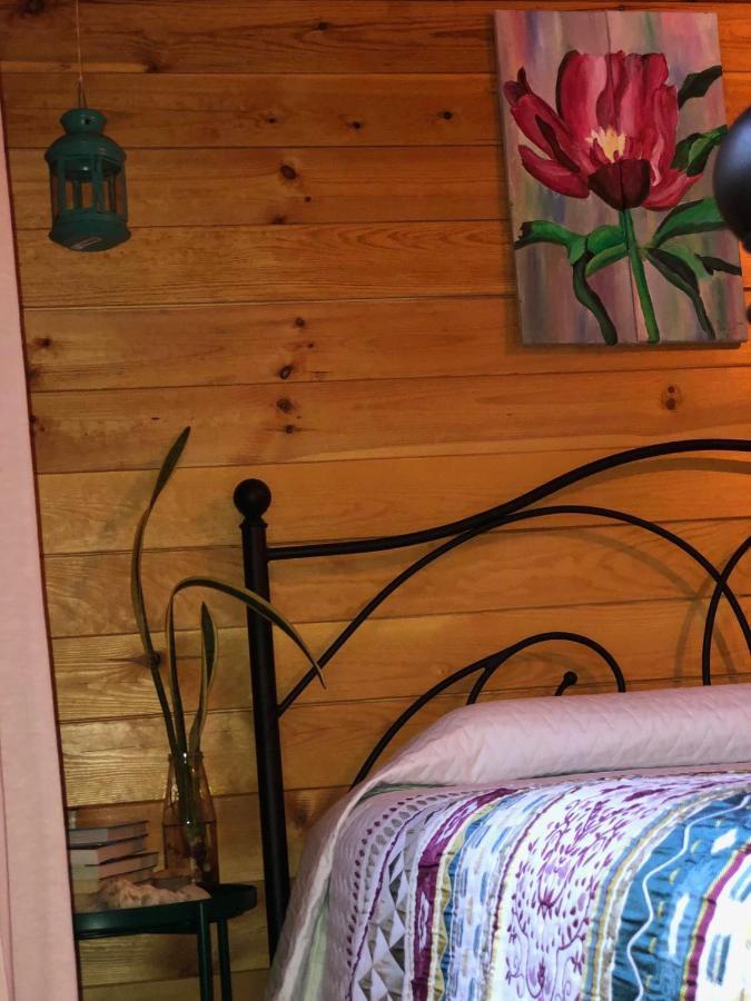 Agios Theodoros Happy Glamping Cy 빌라 외부 사진