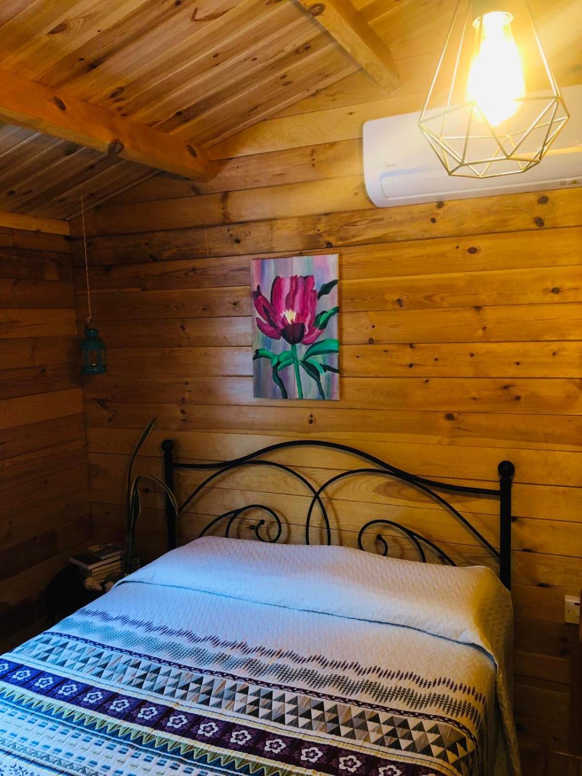 Agios Theodoros Happy Glamping Cy 빌라 객실 사진