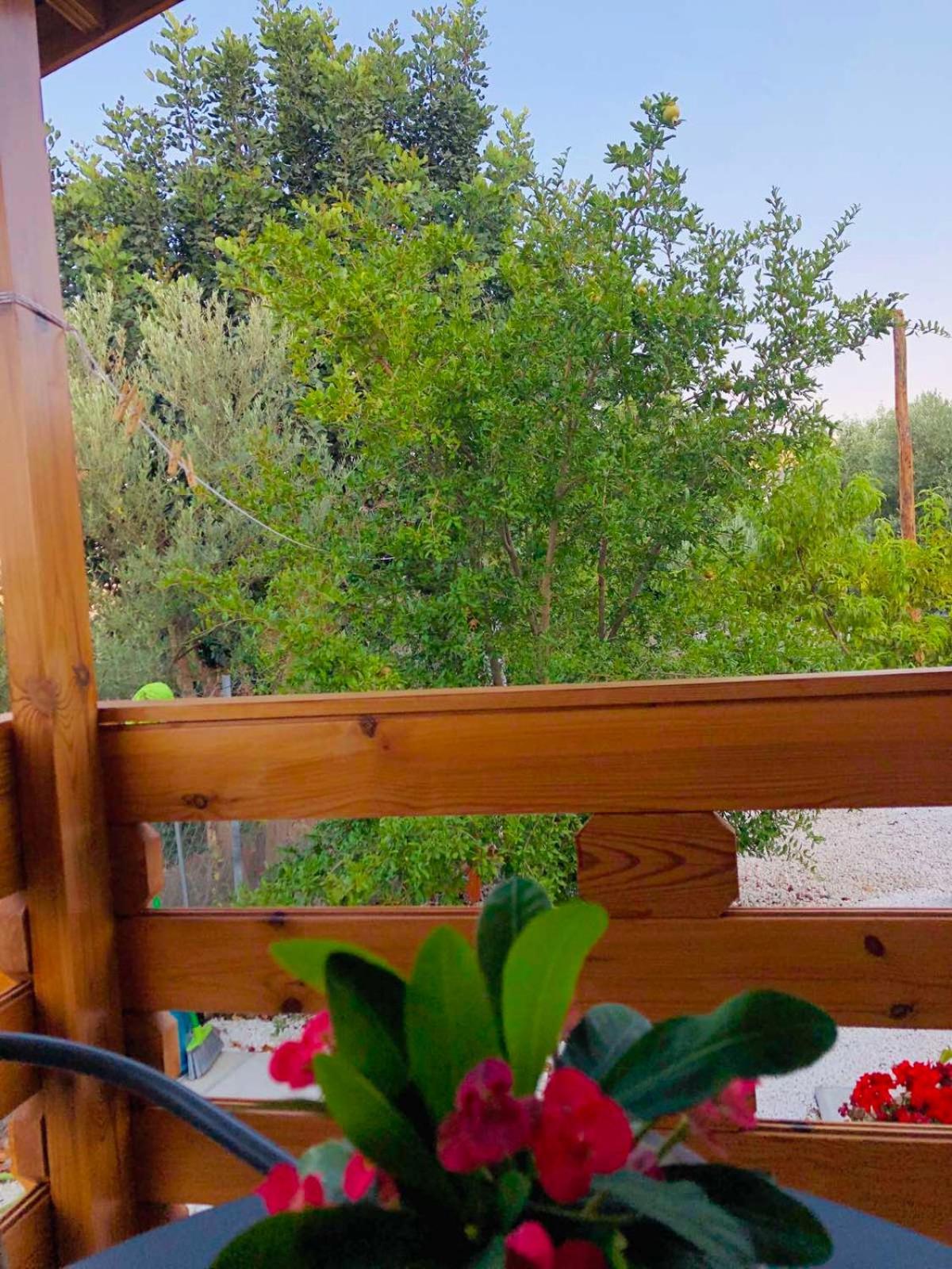 Agios Theodoros Happy Glamping Cy 빌라 객실 사진