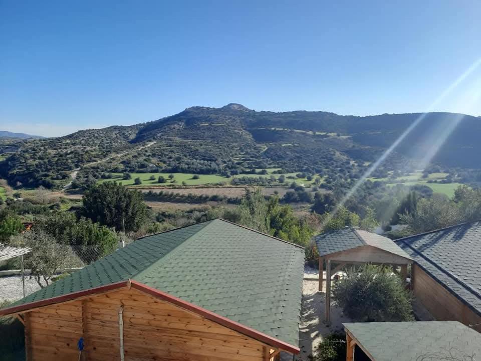 Agios Theodoros Happy Glamping Cy 빌라 외부 사진